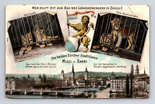 Lions of Zurich Mizzi & Barri Zoo Fundraiser Zurich Switzerland Postcard picture