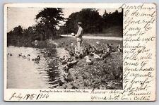 Middlesex Falls Massachusetts MA Feeding The Ducks c1906 Vintage Postcard picture