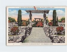 Postcard A View of the Azalea Ravine Gardens Palatka Florida USA picture