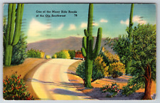 c1940s Side Road Ole Southwest Desert Cactus Vintage Linen Postcard picture