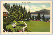 Washington Peninsula Curtis Lake Hotel Olympic Quinault c1940s Vintage Postcard picture