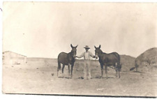 RPPC Postcard Man Holding 2 Mules Agriculture Equestrian Velox Back (1901-1914) picture