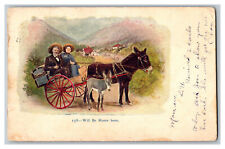 c1906 Postcard Will Be Home Soon Vintage Standard View Card Donkeys Pulling Cart picture