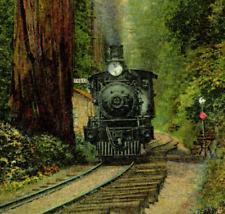 C.1910 SANTA CRUZ, CALIFORNIA CA SOUTHERN PACIFIC TRAIN, BIG TREES Postcard P47 picture