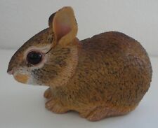 Safari Ltd. Eastern Cottontail Rabbit Baby 4