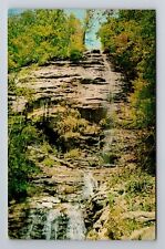 Columbus NC-North Carolina, Waterfall Named Shunkanwahken, Vintage Postcard picture