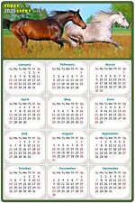 2025 Magnetic Calendar - Today is My Lucky Day - Horses Themed 03 (7 x 10.5) picture