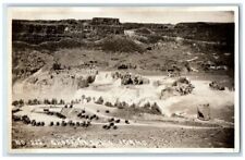 1926 Birds Eye Aerial View Wesley Andrews Shoshone Falls ID RPPC Photo Postcard picture