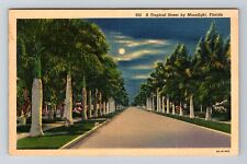 FL-Florida, A Tropical Street by Moonlight, Vintage Postcard picture
