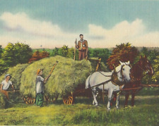 Vintage Postcard Linen 1948 Greetings from Little Compton R. I. Horse and Wagon picture