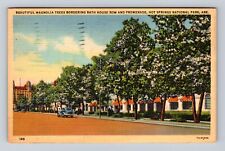 Hot Springs National Park, Magnolia Trees, Bath House, Vintage c1942 Postcard picture