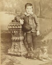 Antique 1890s Dapper Boy Kid Dog Altoona Pennsylvania Photo Cabinet Card picture