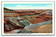 Near The Black Forest, Painted Desert Arizona AZ Postcard picture