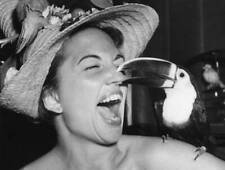 Toucan Says Hello 1955 Photo - At the National Association of Pet Industries sho picture
