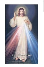 (10 copies) Chaplet of Divine Mercy Holy Prayer Card Jesus I Trust in You picture