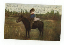 Vintage Animal  Postcard   HORSES GIRL WOMAN LOOKING FOR GAME  STAMPED picture