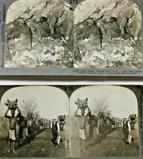 C.1910s Africa. Hippo Hunt. Gold DIamond Mine. Big Game Hunt. Victoria Falls. picture