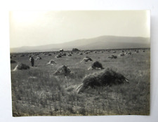 Butte Valley Macdoel CA c1910 Historic Photograph H.F. Maust Ranch Wheat Field picture