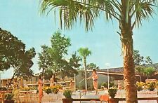 Postcard FL Silver Springs Shores The Panorama Inn Chrome Vintage PC J7724 picture