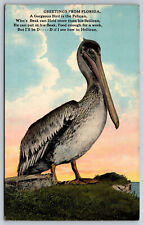 Postcard Greetings From Florida Gorgeous Pelican Poem c1915 Tampa, FL F7 picture