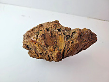 Large Fossilized Tabulate Coral 1 3/4 lb- Rocks, Fossils, Minerals picture