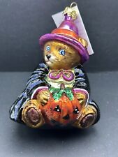NWT Christopher Radko BEARWITCHED Witch Pumpkin Halloween Ornament  99-061-0 picture