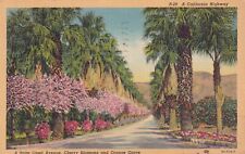 Palm Lined Avenue Cherry Blossoms Orange Grove California CA 1941 Postcard B22 picture