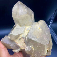 4.59LB A+++Natural  black Crystal Himalayan quartz cluster /mineralsls picture