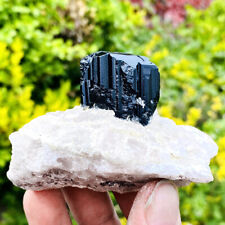 269g Top Natural black tourmaline quartz crystal cluster mineral specimen picture
