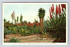 San Marino CA-California, The Cactus Garden, Antique, Vintage Postcard picture
