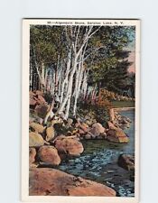 Postcard Algonquin Shore Saranac Lake New York USA picture