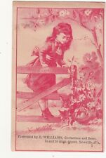 R Williams Confectioner Baker Newville PA Girl Fence Nest Vict Card c1880s picture