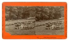Civil War - Union Dead at Gettysburg picture