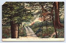 Postcard Board Walk to Lithia Spring Rider Park Cambridge Springs PA picture