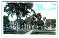The Campus Yale University New Haven  CT Connecticut Postcard picture