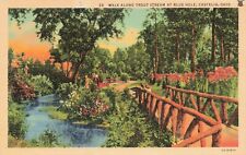 Postcard Walk Along Trout Stream at Blue Hole, Castalia, Ohio Linen Posted picture