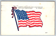 c1910s Liberty Union American Flag Waving D. Webster Antique Postcard picture