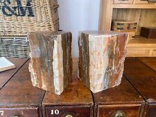 Petrified Fossilised Wood Book Ends 14.2kg picture