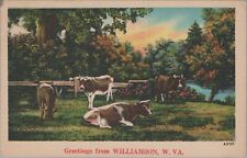 MR ALE 1943 Postcard West Virginia Greetings from Williamson, WV Cows 5189.4 picture