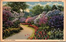 Vintage Postcard 1920's View in Lilacia Park Lombard Illinois ILL picture