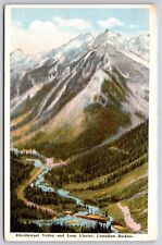 Illecillewaet Valley Lood Glacier Candian Rockies Snowcapped Mountain Postcard picture