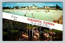 Sarasota FL, Banner Greetings, Lido Beach, Flamingos Florida Vintage Postcard picture