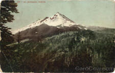 1909 Mt. Jefferson,OR Mitchell Oregon Antique Postcard 1C stamp Vintage picture