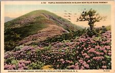 Linen~Purple Rhododendron In Bloom Near Blue Ridge Parkway~Vintage Postcard (D3) picture