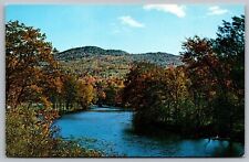 Battenkill River Trout Stream Arlington Vermont Riverfront Forest VTG Postcard picture
