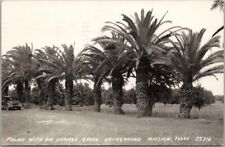 1947 MISSION, Texas RPPC Real Photo Postcard Palm Trees / Orange Grove View picture