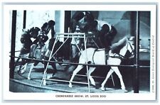 c1960's Chimpanzee Show St. Louis Zoo St. Louis Missouri MO Unposted Postcard picture