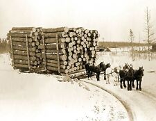 1909 Huge Load of Logs, Pine Island, Minnesota Old Photo 8.5