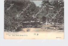 PPC Postcard NY New York Sharon Springs Park Hand-Colored Undivided Back Rotogra picture