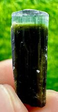 10 Ct Top Quality Green Cape Bicolor Tourmaline Crystal From Kunar @AFG picture